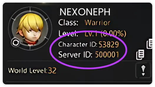 Instruction Dragon Nest M: Classic
