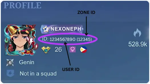 Instruction MLBB: Verified Squad